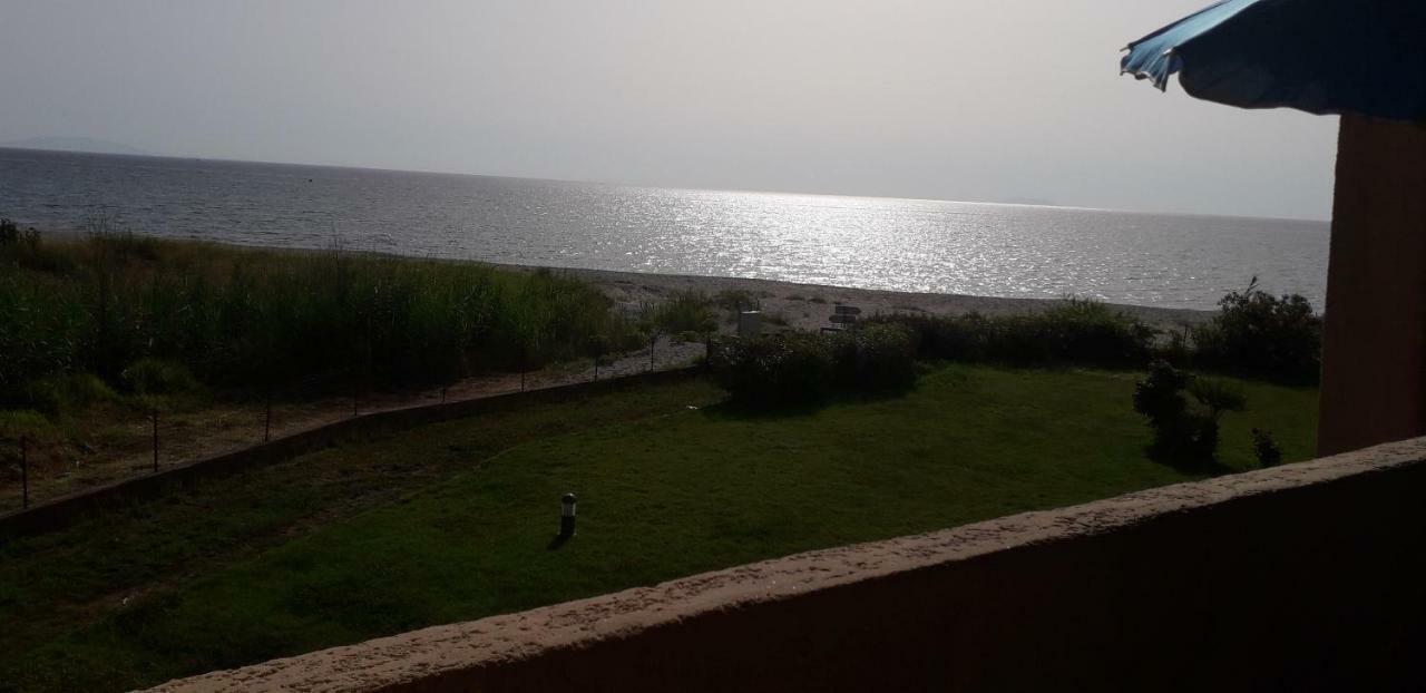 Cala Di Sognu Lägenhet Moriani Plage Exteriör bild